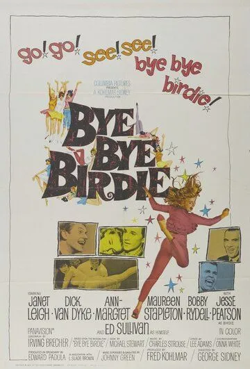 Пока, пташка / Bye Bye Birdie (1963) фильм скачать через торрент в хорошем качестве