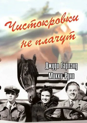 Чистокровки не плачут / Thoroughbreds Don't Cry (1937) фильм скачать через торрент в хорошем качестве