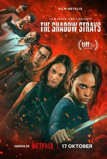 Блуждающая тень / The Shadow Strays (2024) фильм скачать через торрент в хорошем качестве