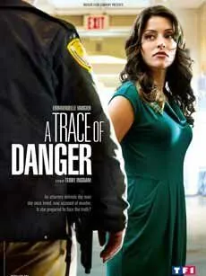 Следы опасности / A Trace of Danger (2010) фильм скачать через торрент в хорошем качестве