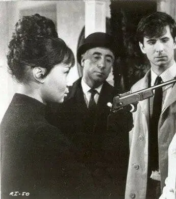 Очаровательная идиотка (1964) через торрент скачать Очаровательная идиотка (1964) фильм через торрент скачать