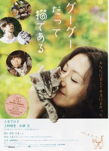 Кот по имени Гу-Гу / Gou-Gou datte neko de aru (2008) фильм скачать через торрент в хорошем качестве