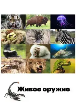 Живое оружие / Animal Armory (2016) сериал скачать через торрент в хорошем качестве