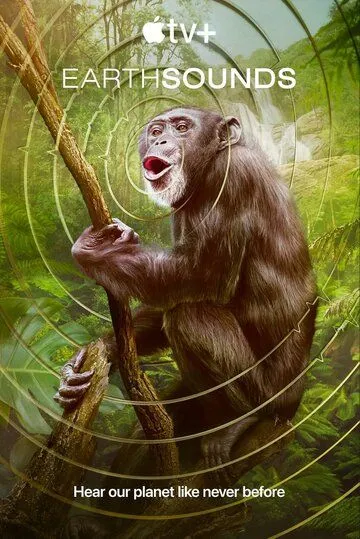 Звуки Земли / Earthsounds (2024) сериал скачать через торрент в хорошем качестве