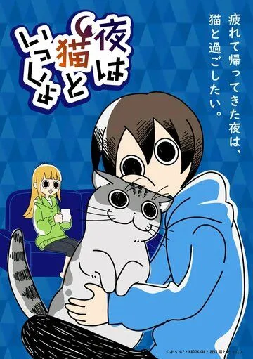 Вечера с котом / Yoru wa Neko to Issho (2022) сериал мультфильм аниме скачать через торрент в хорошем качестве