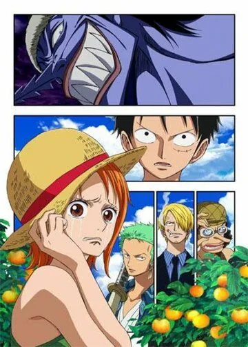 Ван-Пис: Эпизод Нами: Слёзы навигатора и узы дружбы / One Piece: Episode of Nami - Koukaishi no Namida to Nakama no Kizuna (2012) мультфильм скачать через торрент в хорошем качестве