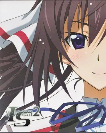 Бесконечные небеса 2: Воспоминания о лете / IS: Infinite Stratos 2 - Hitonatsu no Omoide (2013) мультфильм скачать через торрент в хорошем качестве