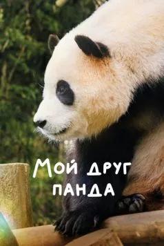 Мой друг панда / My Dearest Fu Bao (2024) фильм скачать через торрент в хорошем качестве