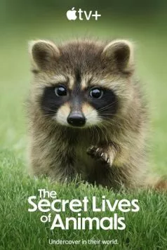 Тайная жизнь животных / The Secret Lives of Animals (2024) сериал скачать через торрент в хорошем качестве