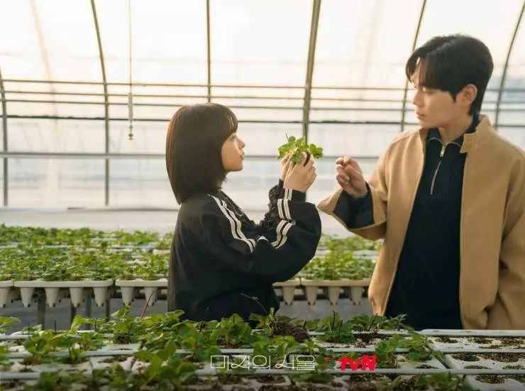 Сеул Ми-джи (2025) через торрент скачать Сеул Ми-джи (2025) сериал через торрент скачать