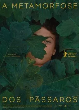 A Metamorfose dos Pássaros (2020) фильм скачать через торрент в хорошем качестве