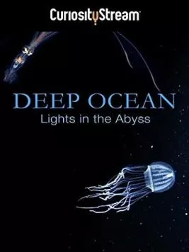Глубокий океан: Свет в бездне / Deep Ocean: Lights in the Abyss (2016) фильм скачать через торрент в хорошем качестве