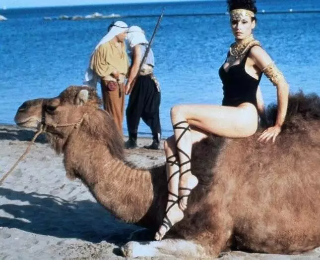 Дневная фотомодель (1994) через торрент скачать Дневная фотомодель (1994) фильм через торрент скачать