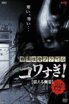 Ужасающие материалы, файл 2: Дрожащий призрак / Senritsu Kaiki File Kowasugi File 02: Shivering Ghost (2012) фильм скачать через торрент в хорошем качестве