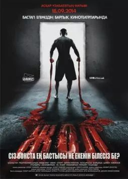 Жол / Zhol (2013) фильм скачать через торрент в хорошем качестве