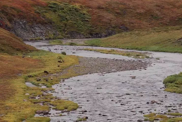 Дыхание тундры (2012) через торрент бесплатно Дыхание тундры (2012) фильм через торрент бесплатно