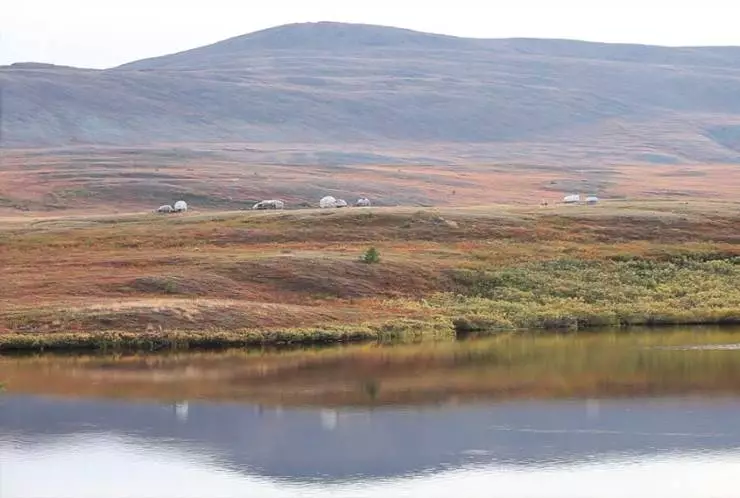 Дыхание тундры (2012) через торрент скачать Дыхание тундры (2012) фильм через торрент скачать