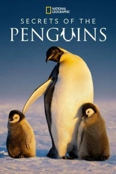 Тайны пингвинов / Secrets of the Penguins (2025) сериал скачать через торрент в хорошем качестве