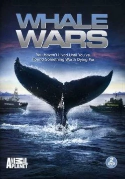 Китовые войны / Whale Wars (2008) сериал скачать через торрент в хорошем качестве