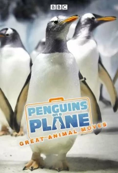 Пингвины на самолете: Передвижение великих животных / Penguins on a Plane: Great Animal Moves (2014) сериал скачать через торрент в хорошем качестве