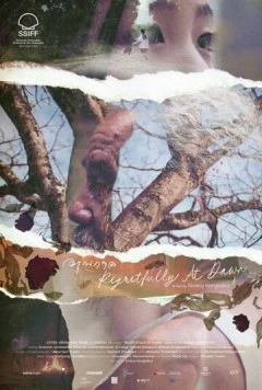 С сожалением на рассвете / A run gaan (2024) фильм скачать через торрент в хорошем качестве