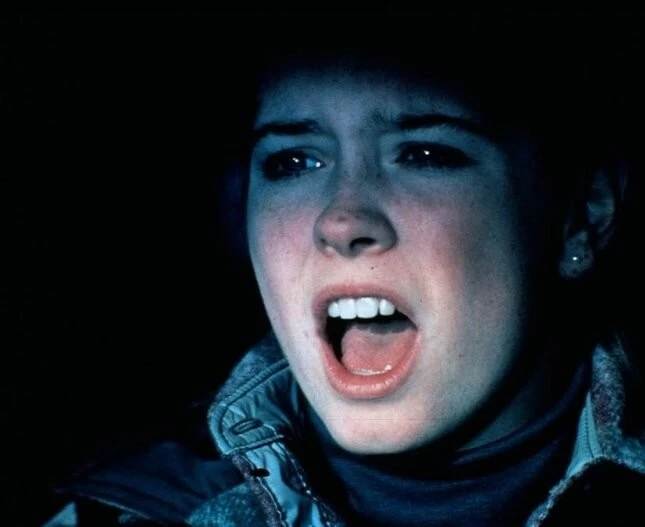 Крик о помощи (1984) через торрент скачать Крик о помощи (1984) фильм через торрент скачать