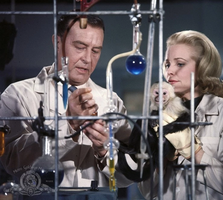 Человек с рентгеновскими глазами (1963) через торрент бесплатно Человек с рентгеновскими глазами (1963) фильм через торрент бесплатно