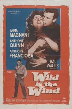 Дикий ветер / Wild Is the Wind (1957) фильм скачать через торрент в хорошем качестве