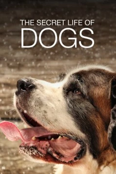 Тайная жизнь собак / Secret Life of Dogs (2017) сериал скачать через торрент в хорошем качестве