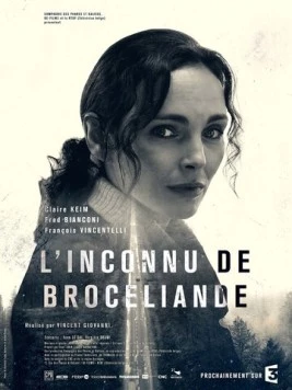 Незнакомец из Броселианда / L'Inconnu de Brocéliande (2016) фильм скачать через торрент в хорошем качестве