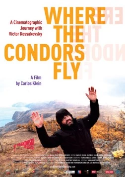 Там, где летают кондоры / Where the Condors Fly (2012) фильм скачать через торрент в хорошем качестве