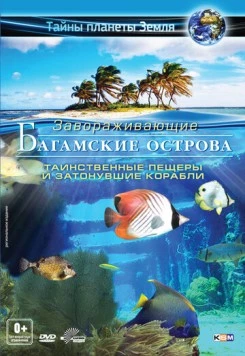 Багамские острова 3D: Таинственные пещеры и затонувшие корабли / Adventure Bahamas 3D: Mysterious Caves And Wrecks (2012) фильм скачать через торрент в хорошем качестве