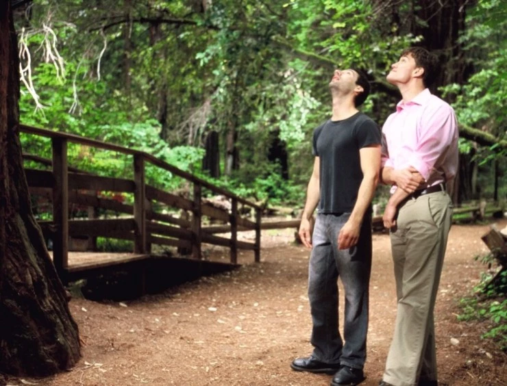 Секвойи вечнозелены (2009) через торрент скачать Секвойи вечнозелены (2009) фильм через торрент скачать