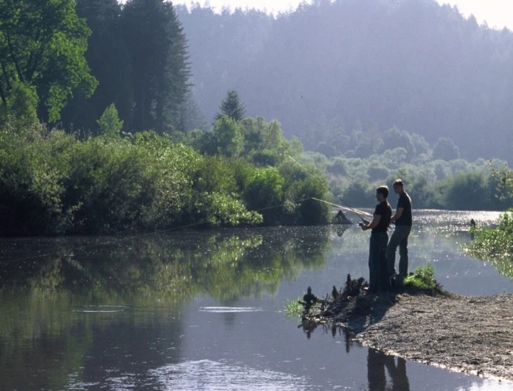 Секвойи вечнозелены (2009) через торрент бесплатно Секвойи вечнозелены (2009) фильм через торрент бесплатно