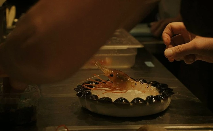 Муравьи на креветке (2016) через торрент скачать Муравьи на креветке (2016) фильм через торрент скачать