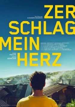 Разбей мое сердце / Zerschlag mein Herz (2018) фильм скачать через торрент в хорошем качестве