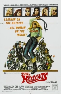 Скачать Адские киски / The Hellcats (1968) фильм через торрент на русском