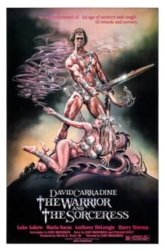 Воин и колдунья / The Warrior and the Sorceress (1984) фильм скачать через торрент в хорошем качестве