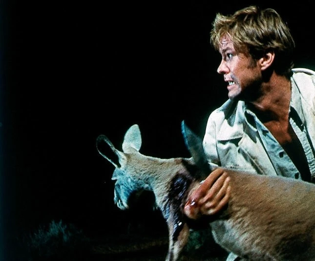 Опасное пробуждение (1970) в хорошем качестве через торрент Опасное пробуждение (1970) фильм в хорошем качестве через торрент