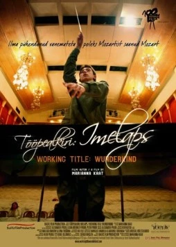 Временно вундеркинд / Tööpealkiri: Imelaps (2012) фильм скачать через торрент в хорошем качестве