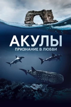 Акулы. Признание в любви / Au plus près des requins (2022) сериал скачать через торрент в хорошем качестве
