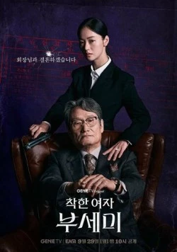 Госпожа Инкогнито / Jakhan yeoja Bu Semi (2025) сериал скачать через торрент в хорошем качестве