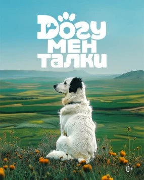 Догументалки (2025) фильм скачать через торрент в хорошем качестве