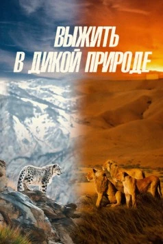 Выжить в дикой природе / Survive the Wild (2016) фильм скачать через торрент в хорошем качестве