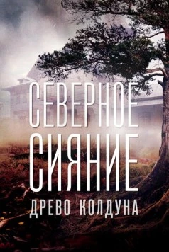 Северное сияние. Древо колдуна. Фильм восьмой (2020-2022) сериал скачать через торрент в хорошем качестве