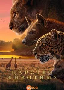 Царство животных / Королевство / Kingdom (2025) сериал скачать через торрент в хорошем качестве