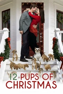 12 щенков Рождества / 12 Pups of Christmas (2019) фильм скачать через торрент в хорошем качестве