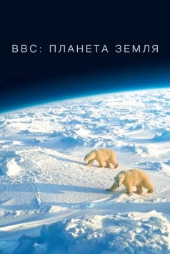 BBC: Планета Земля / Planeta Zemlya / Planet Earth (2007) сериал скачать через торрент в хорошем качестве