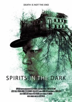 Духи во тьме / Spirits in the Dark (2020) фильм скачать через торрент в хорошем качестве