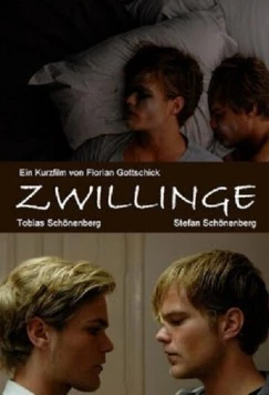 Постер: Близнецы / Zwillinge (2010)